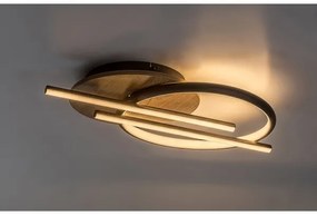 Rabalux 71404 - Plafoniera LED ARASH LED/40W/230V 3000/4000/6500K