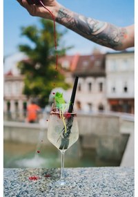 Set di 6 cannucce in vetro nero per bere, lunghezza 20 cm - Vialli Design