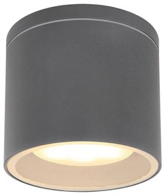 Globo 32063A - Plafoniera da esterno ALCALA 1xGX53/11W/230V IP44