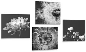 Set di quadri – Fiori delicati in bianco e nero