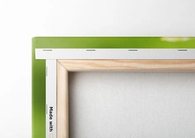 Quadro su tela – Composizione Zen tropicale