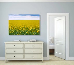 Stampa su tela – Campo giallo