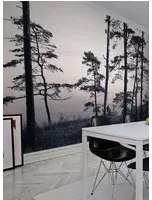 Rebel Walls Carta da parati panoramica Old Pine Trees