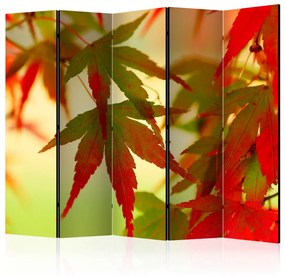 Paravento separè Foglie Colorate II - Albero con foglie rosse e verdi su sfondo chiaro