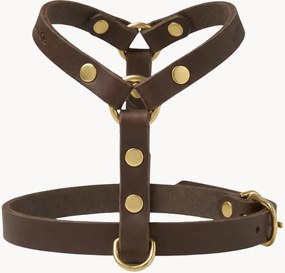 Imbracatura per cani in pelle Y-Harness, varie misure