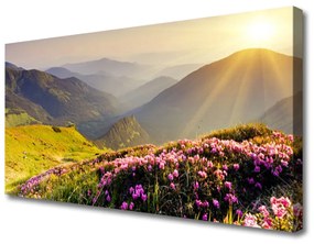 Foto quadro su tela Paesaggio del prato di montagna 100x50 cm