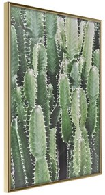 Poster  Cactus Plantation  Cornice Quadri Cornice d'oro, Larghezza x Altezza Home decor 30x45