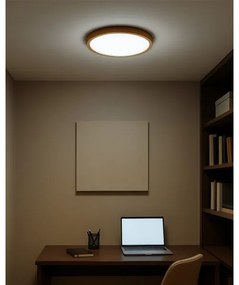 Plafoniera LED/18W/230V 3000/4000/6500K Ø 23 cm beige
