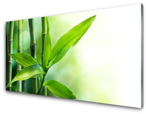 Quadro su vetro acrilico Foglia di bambù Pianta Natura 100x50 cm