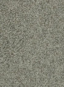 Lederoptik Tapete Shagreen von Zoffany - Zinc