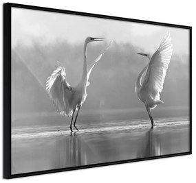 Poster  Black and White Herons  Cornice Quadri Cornice nera, Larghezza x Altezza Home decor 60x40