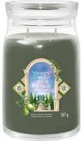 Olive e Cypress, candela giara grande Yankee Candle