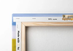 Stampa su tela – Campo giallo
