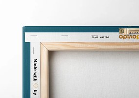 Stampa su tela – Orsetto sulla luna
