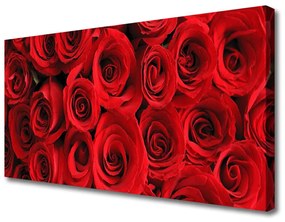Quadro su tela Fiori di rose 100x50 cm