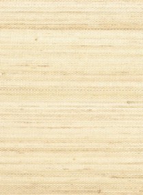 Élitis Carta da parati Pur Abaca - RM 1071 03