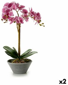 Pianta Decorativa Orchidea 20 x 60 x 28 cm (2 Unità)