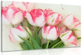 Stampa su tela – Tulipani primaverili