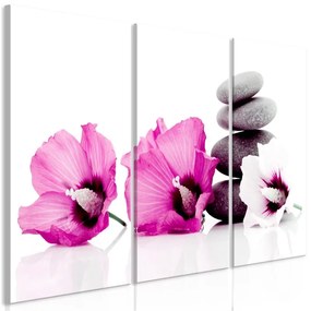 Quadro Calm Mallow (3 Parts) Pink  Colore Bianco, Dimensioni e Misure 120x80