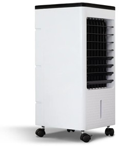 Raffrescatore Portatile Con Timer 4l 90w