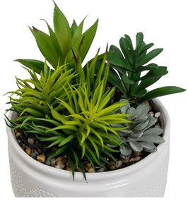 Piante artificiali in set da 2 (altezza 19 cm) Cactus - Casa Selección
