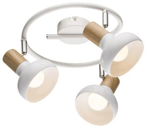 Luce Spot PUERTO 3xE14/40W/230V