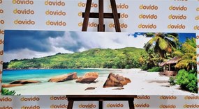 Stampa su tela – Seychelles tropicali
