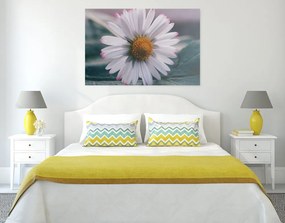 Quadro su tela – Margherita stupenda