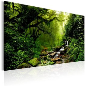 Quadro Waterfall in the Forest
