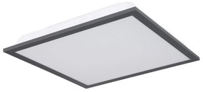 Globo 416080D1 - Plafoniera LED DORO LED/12W/230V