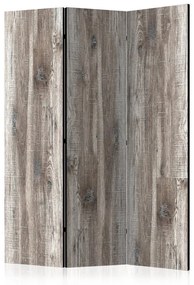 Paravento Stylish Wood [Room Dividers]
