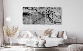 Quadri 5 pezzi – Alberi surrealisti in bianco e nero