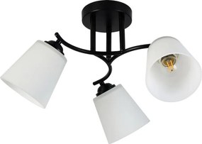 Plafoniera PAFOS 3xE27/15W/230V nero