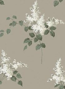 Boras Tapete Lilacs - 7667