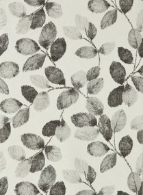 Clarke & Clarke Tapete Northia - Charcoal