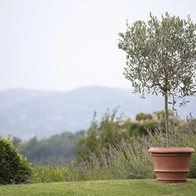 Vaso per piante e fiori CONCA in terracotta terracotta H 39 cm Ø 48 cm
