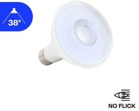 Lampada LED PAR30 12W 38° Colore Bianco Freddo 6.000K