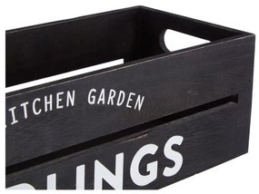 Petto - Premier Housewares