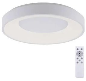 Leuchten Direkt 14326-16 - Lampada LED dimmerabile ANIKA LED/30W/230V + T