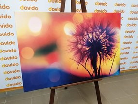 Stampa su tela – Dente di leone luminoso