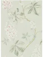 Tapete Chestnut Tree von Sanderson - Seaspray/ Peony