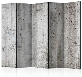 Paravento design Imperatore grigio II - texture urbana di cemento grigio chiaro