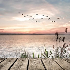 Dipinto su tela Sunset, multicolore 110 x 80 cm