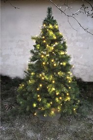 Catena luminosa con motivo natalizio numero di lampadine 160 pezzi lunghezza 200 cm Serie LED - Star Trading