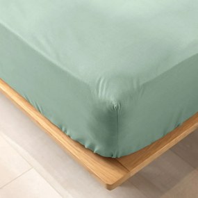 Lenzuolo elasticizzato verde chiaro in cotone biologico 160x200 cm Biolina - douceur d'intérieur