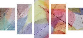 Quadri 5 pezzi – Venature su foglie colorate