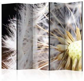 Paravento  Fluffy dandelion II [Room Dividers]  Colore ---, Dimensioni e Misure 225x172