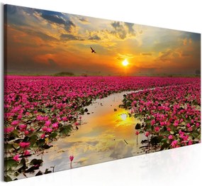 Quadro Lily Field (1 Part) Wide  Colore Rosa, Dimensioni e Misure 100x45