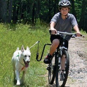 Springer kit ginnico per bicicletta per cani