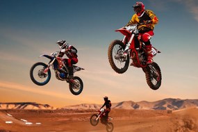 Quadro su tela – Per motociclisti